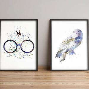 ASIR Obraz na MDF s rámem 2ks HARRY POTTER