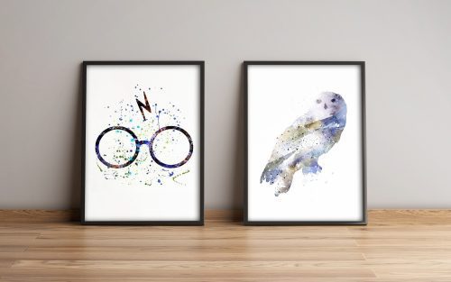 ASIR Obraz na MDF s rámem 2ks HARRY POTTER