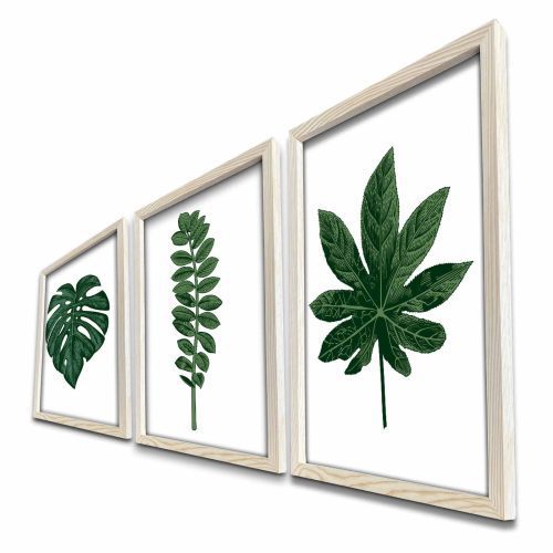 ASIR Obraz na MDF s rámem 3ks LISTY RŮZNÝCH ROSTLIN 38 x 53 cm - Obrázek 2