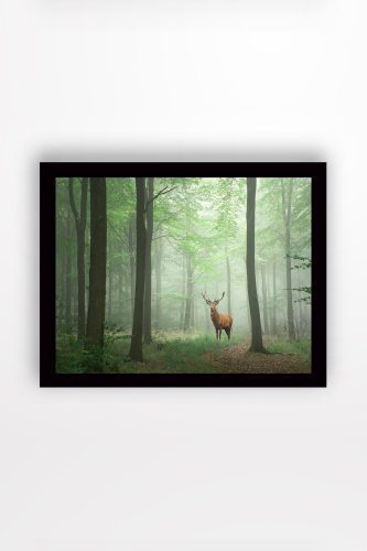 ASIR Obraz na MDF s rámem JELEN V MLŽNÉM LESE 56 x 41 cm - Obrázek 2