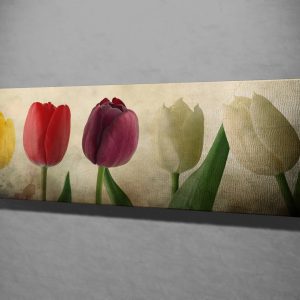 ASIR Dekorativní obraz na plátně TULIPÁNY 80 x 30 cm