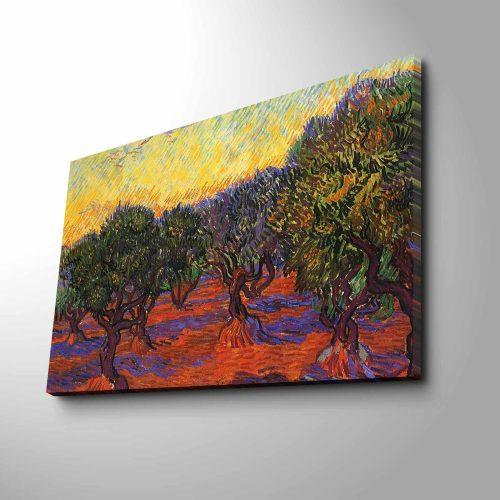 ASIR Obraz na plátně Vincent Van Gogh – Olivovníky - Obrázek 2
