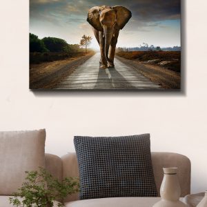 ASIR Nástěnný obraz ELEFANT plátno 70 x 100 cm