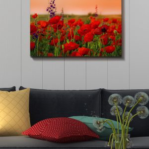 ASIR Nástěnný obraz POPPY plátno 50 x 70 cm