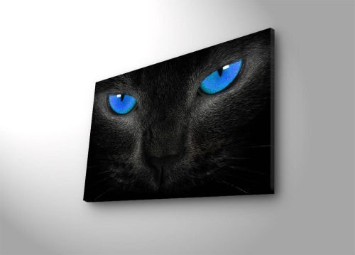 ASIR Nástěnný obraz s LED osvětlením CAT - Obrázek 2