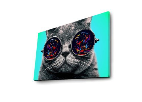 ASIR Nástěnný obraz s LED osvětlením CAT - Obrázek 2