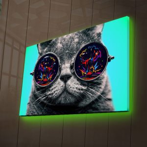 ASIR Nástěnný obraz s LED osvětlením CAT