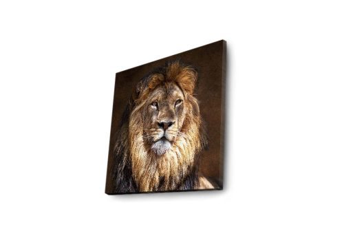 ASIR Nástěnný obraz s LED osvětlením LION - Obrázek 2