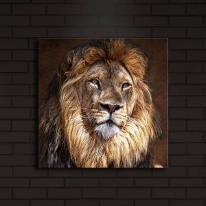 ASIR Nástěnný obraz s LED osvětlením LION