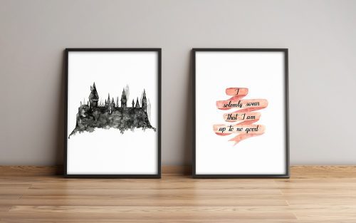 ASIR Obraz na MDF s rámem 2ks HARRY POTTER