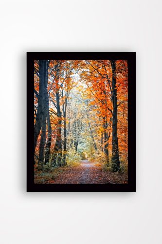 ASIR Obraz na MDF s rámem CESTA PODZIMNÍM LESEM 56 x 41 cm - Obrázek 2
