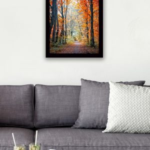 ASIR Obraz na MDF s rámem CESTA PODZIMNÍM LESEM 56 x 41 cm