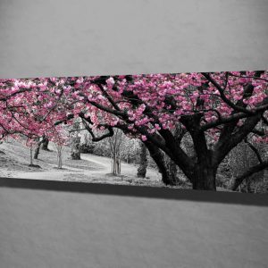 ASIR Obraz na plátně KVETOUCÍ SAKURY 80 x 30 cm