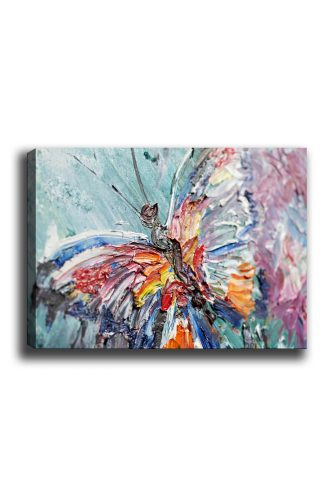 ASIR Obraz na plátně MOTÝL 100 x 70 cm - Obrázek 2