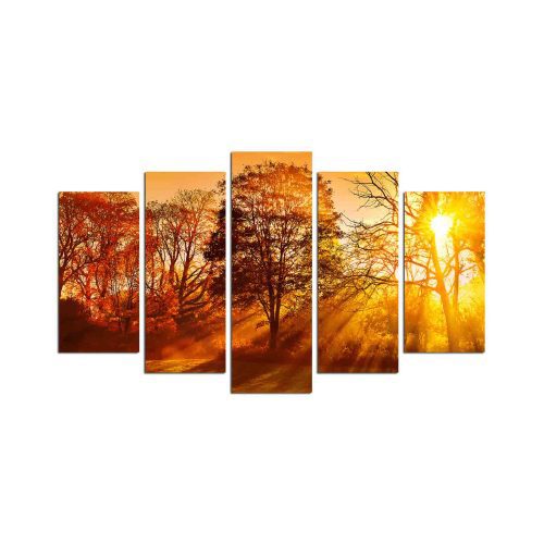 ASIR Obraz na MDF 5ks PAPRSKY SLUNCE 20 x 60 (1) 20 x 50 (2) 20 x 40 cm (2) - Obrázek 2