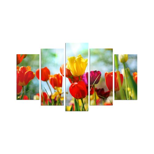 ASIR Obraz na MDF 5ks TULIPÁNY 20 x 60 cm (1) 20 x 50 cm (2) 20 x 40 cm (2) - Obrázek 2