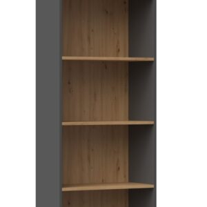 TP Living Knihovna R60 antracit/dub artisan