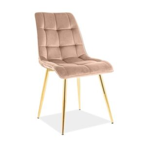 Signal Čalouněná jídelní židle Chic Gold Velvet béžová
