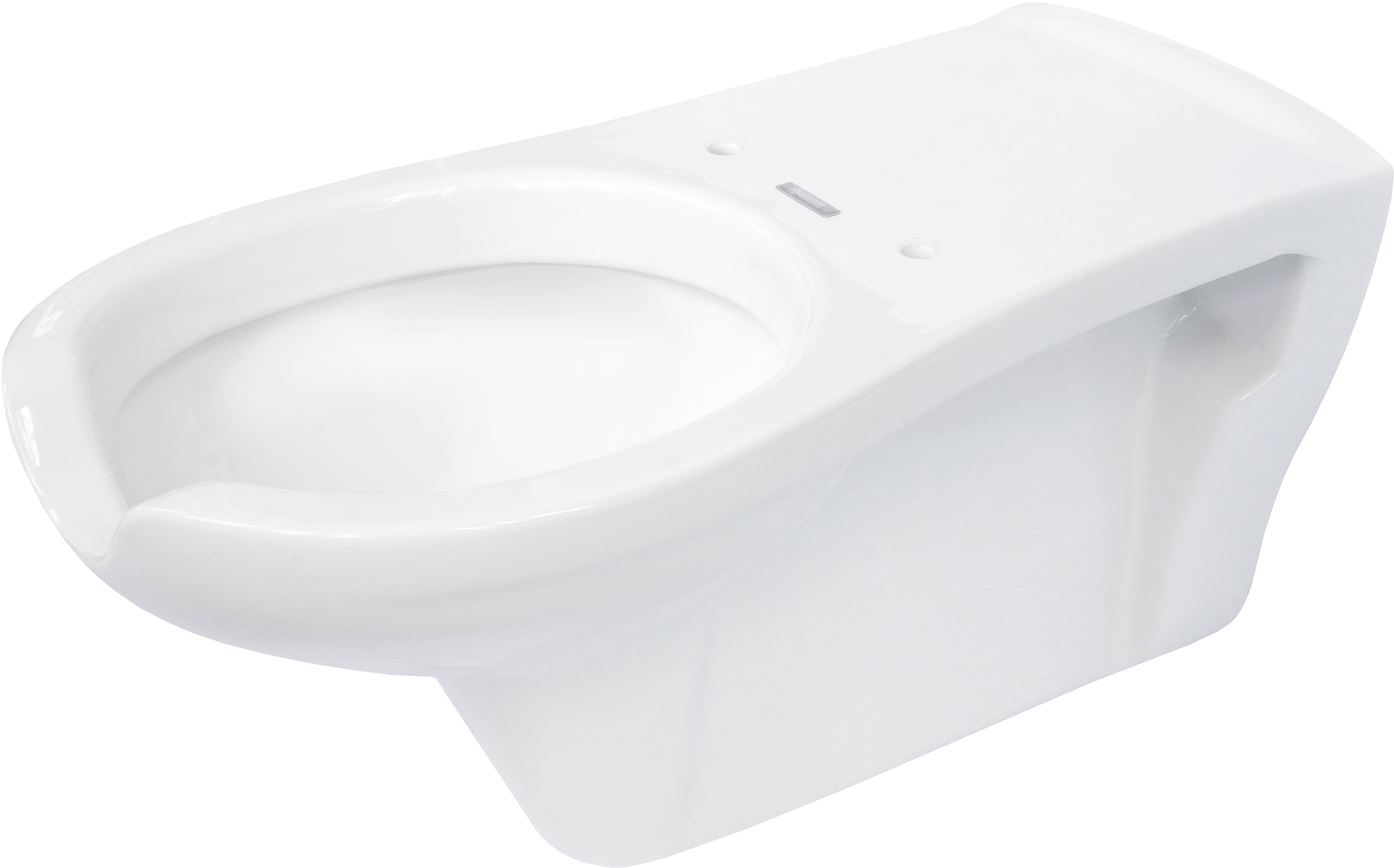 Deante Závěsná WC mísa Vital pro osoby s omezenou pohyblivostí - CDV 6WPW