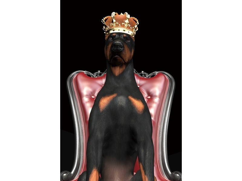 Signal Obraz Dog in Crown 80x120 cm černý