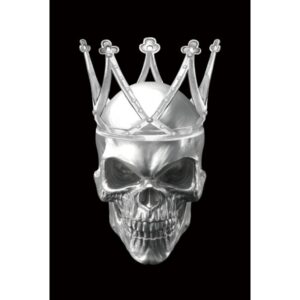 Signal Obraz Skull 80x120 černý/stříbrný
