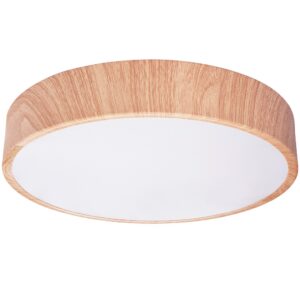 Toolight Stropní svítidlo APP1404-C 30cm
