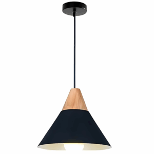 Toolight Stropní svítidlo SCANDI C Black