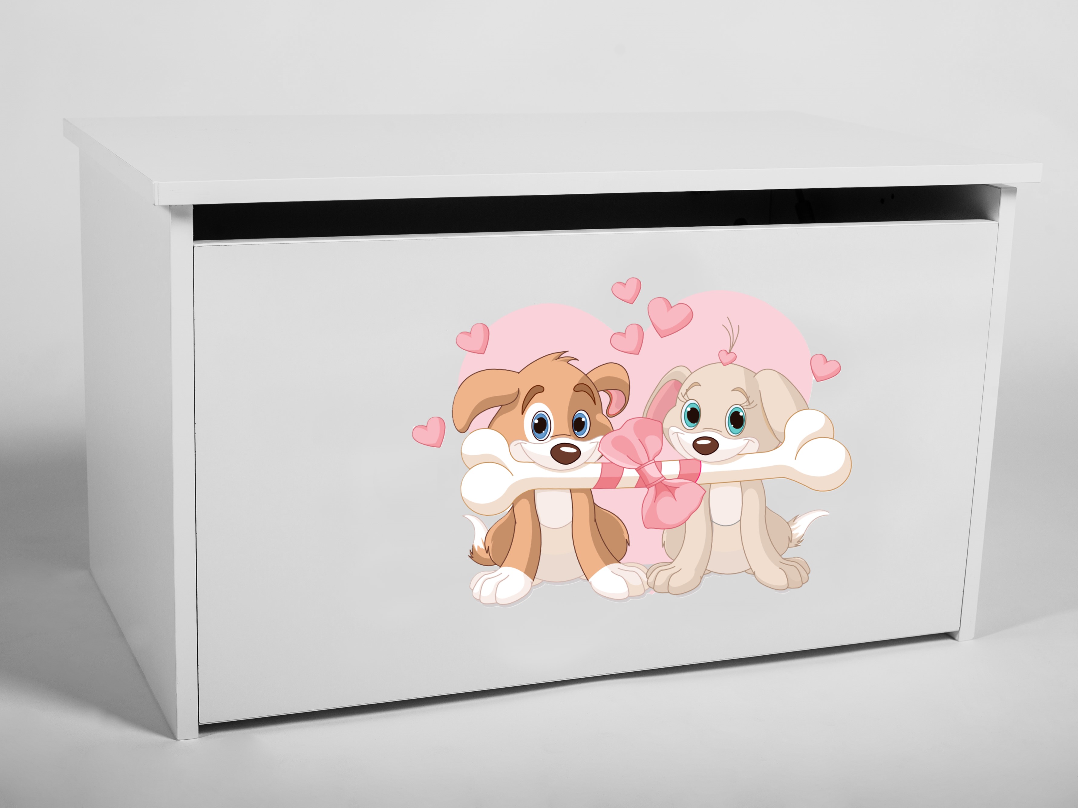 ADRK Úložný box DARIA DOG