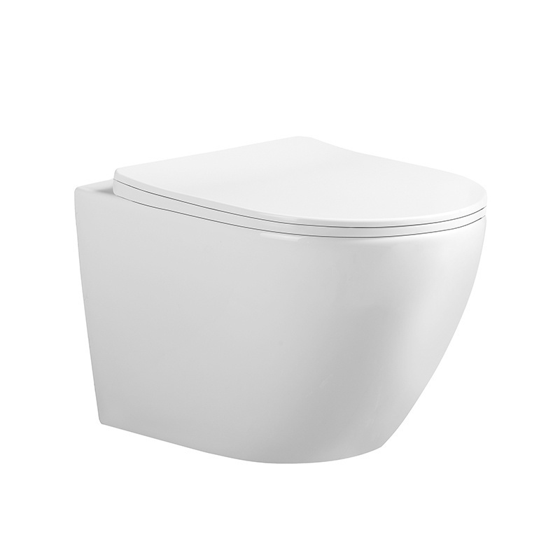 BPS-koupelny Podomítkový modul Geberit DuoFix s WC mísou FW-WH-TR-03 + ovládací tlačítko Delta 50 chrom - Obrázek 2