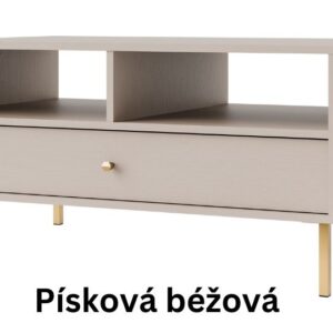 Konferenční stůl STRAKOŠ 201 TOK 2 1S