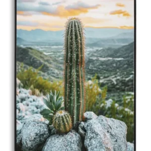 Mauro Ferretti Obraz Cactus A 60x90 cm vícebarevný