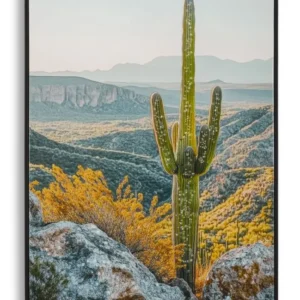 Mauro Ferretti Obraz Cactus B 60x90 cm vícebarevný