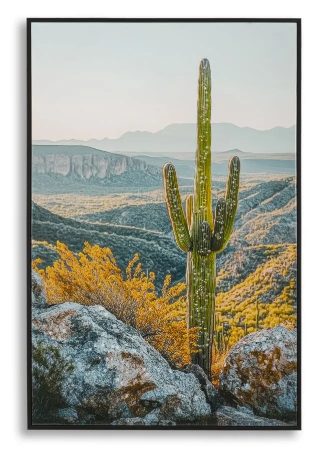 Mauro Ferretti Obraz Cactus B 60x90 cm vícebarevný