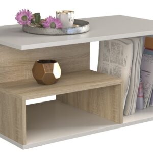 TP Living Konferenční stolek PRIMA dub sonoma/bílý