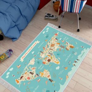 ASIR Koberec 80 x 150 MAPA   více barev