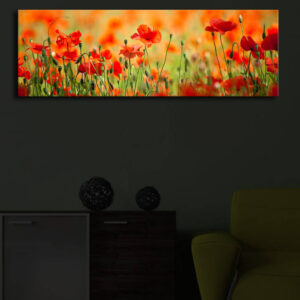 ASIR Nástěnný obraz na plátně VLČÍ MÁKY s led osvětlením 30 cm