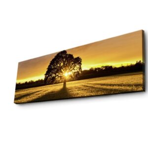 ASIR Obraz na plátně s led osvětlením ZÁPAD SLUNCE 30 cm