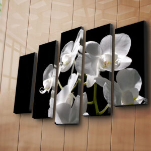 ASIR Sada nástěnných obrazů na plátně BÍLÁ ORCHIDEJ 105 cm