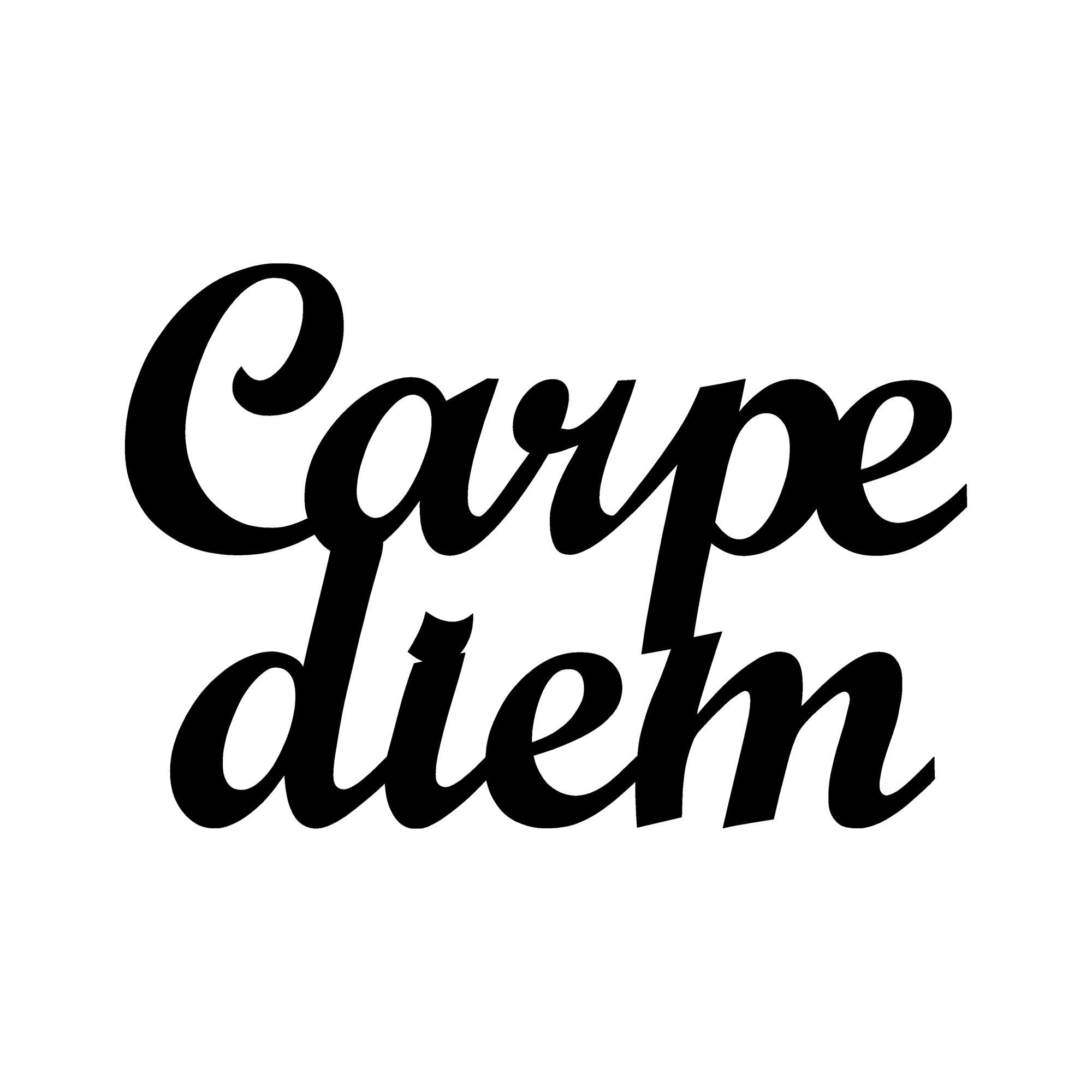 ASIR Nástěnná dekorace kov CARPE DIEM 50 x 38 cm - Obrázek 2