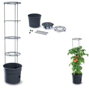 PROSPERPLAST - Květináč na pěstování rajčat 29,5x29,5x24,5cm