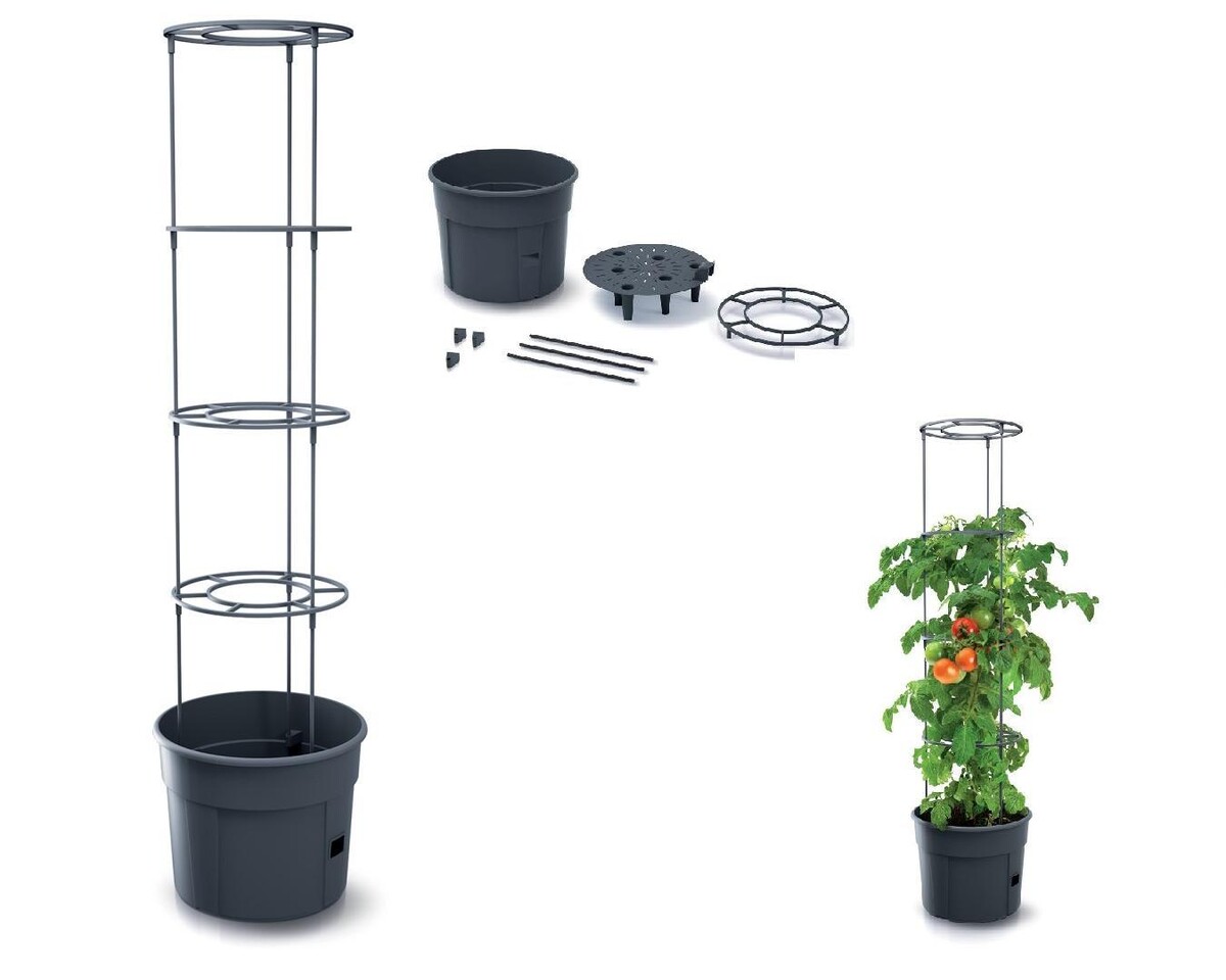 PROSPERPLAST - Květináč na pěstování rajčat 29,5x29,5x24,5cm