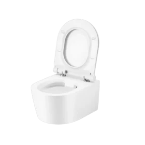 WC SET Geberit DuoFix s WC mísou Corona + tlačítko Delta 01
